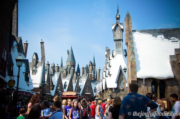 Harry Potter World Village