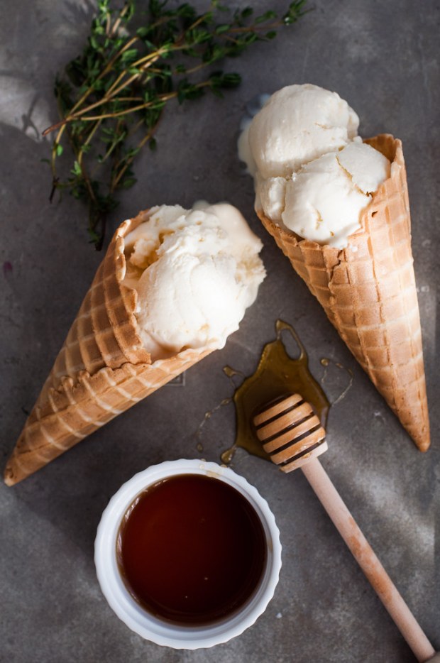 Rich and creamy with a hint of herby thyme and just the right balance of tart goat cheese. My favorite ice cream of the moment! 